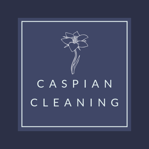 Caspian Cleaning Logo